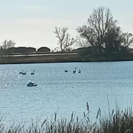 Aigues Mortes Studio De Vacances En Camargue المظهر الخارجي الصورة