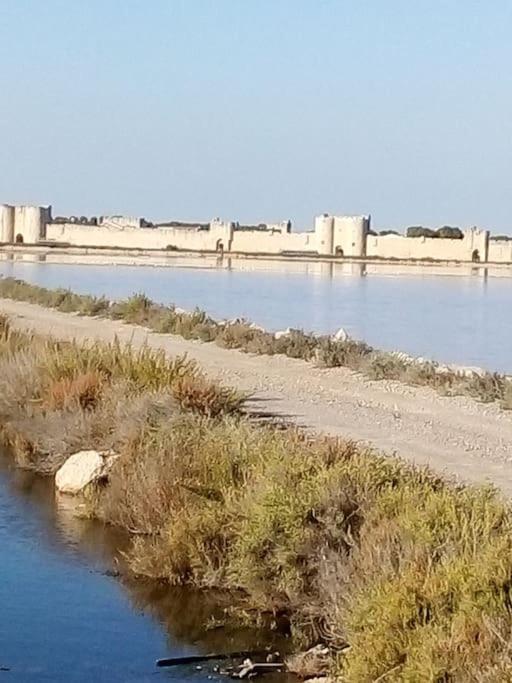 Aigues Mortes Studio De Vacances En Camargue المظهر الخارجي الصورة