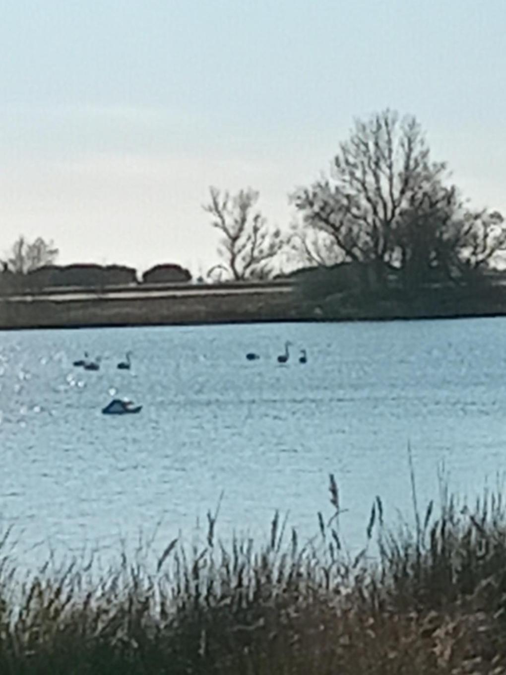Aigues Mortes Studio De Vacances En Camargue المظهر الخارجي الصورة